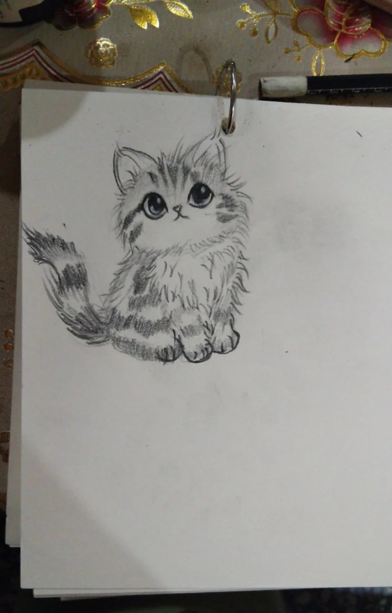 vẽ con mèo đơn giản 13