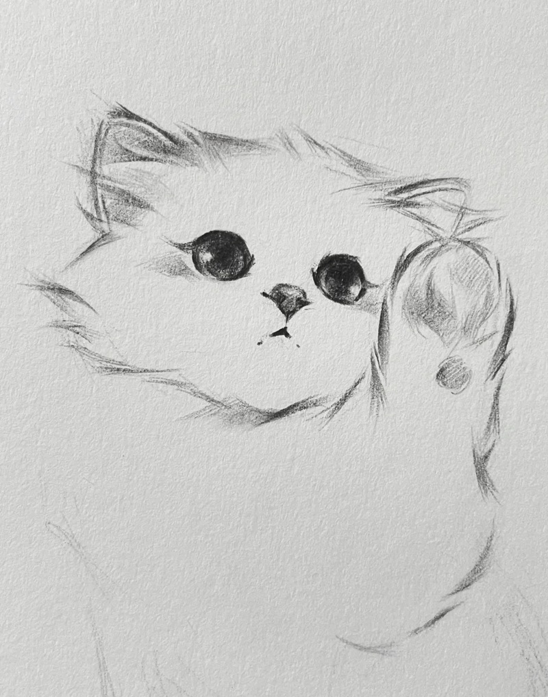 vẽ con mèo đơn giản 30