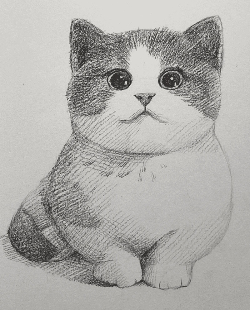 vẽ con mèo đơn giản 37