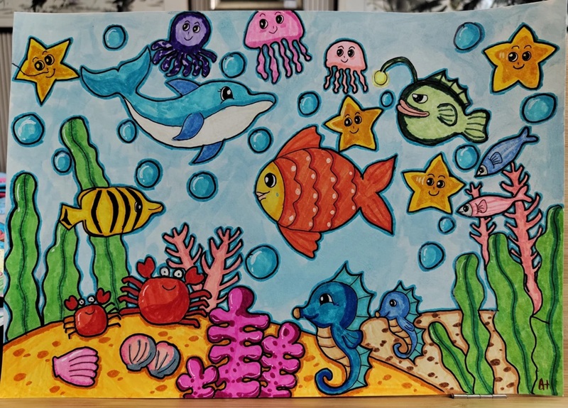 vẽ con vật dưới biển 25