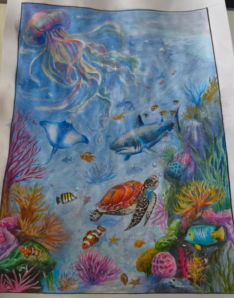 vẽ con vật dưới biển 29