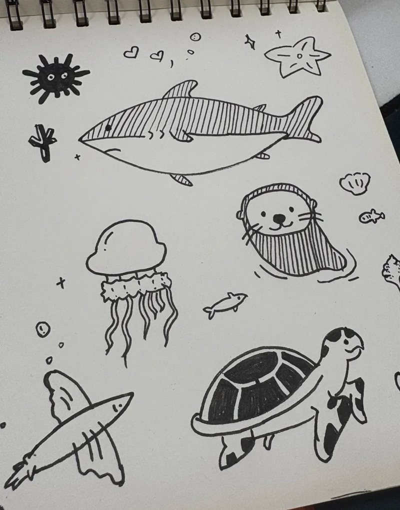 vẽ con vật dưới biển 35