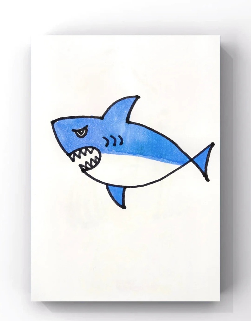 vẽ con vật dưới biển 36