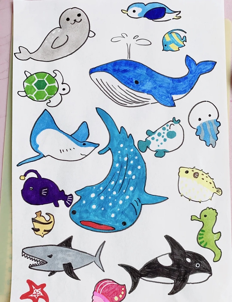 vẽ con vật dưới biển 8