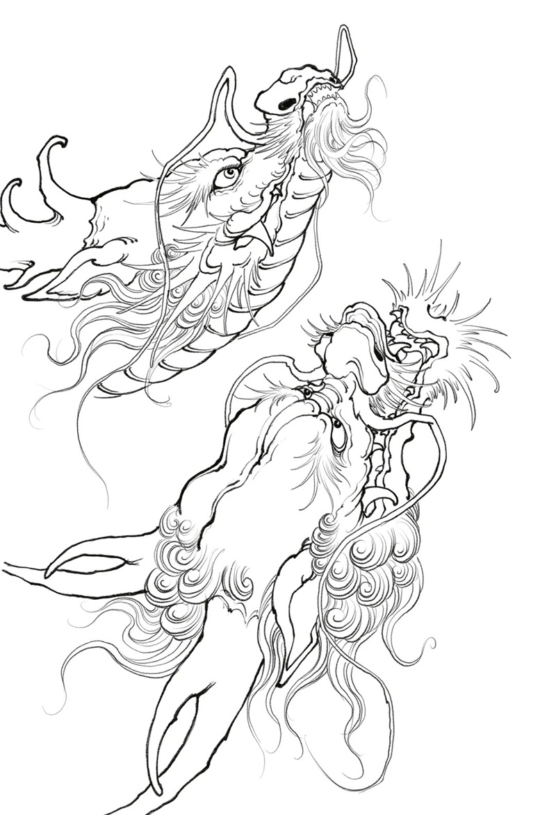 vẽ đầu rồng 16