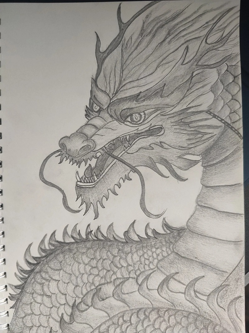 vẽ đầu rồng 22