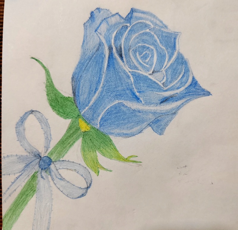 vẽ hoa hồng đơn giản 10