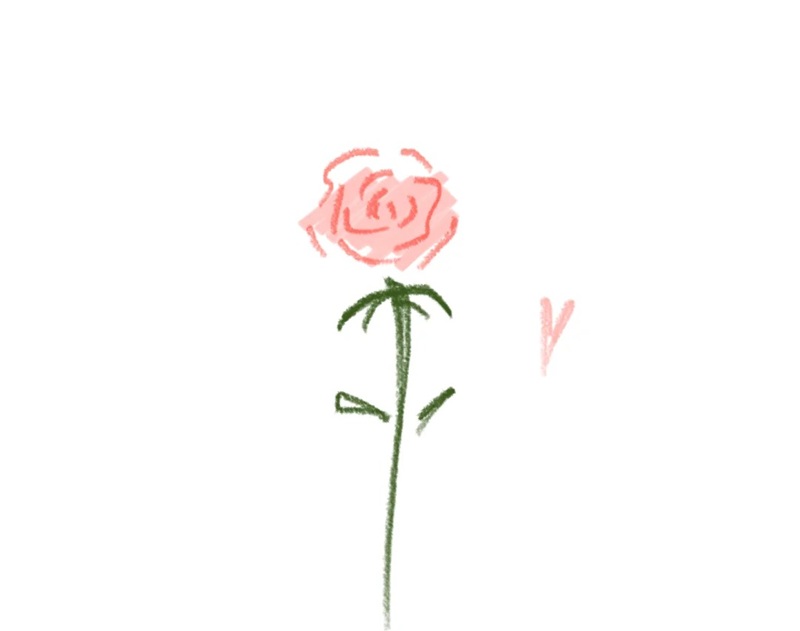 vẽ hoa hồng đơn giản 11