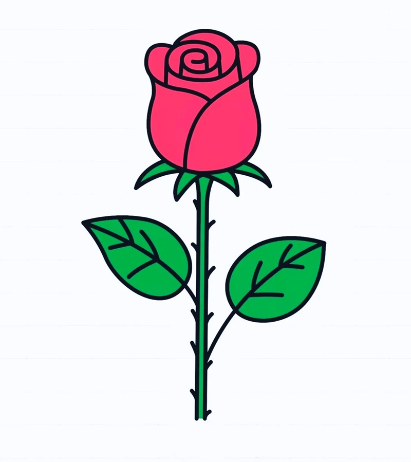 vẽ hoa hồng đơn giản 20