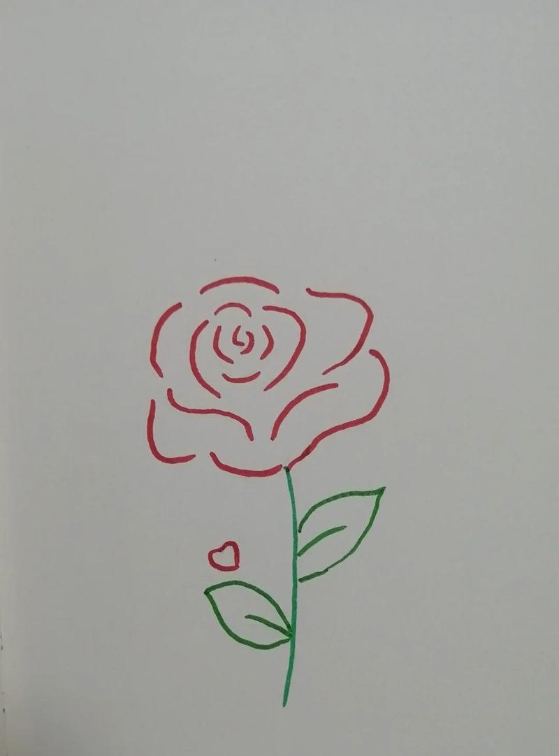 vẽ hoa hồng đơn giản 24
