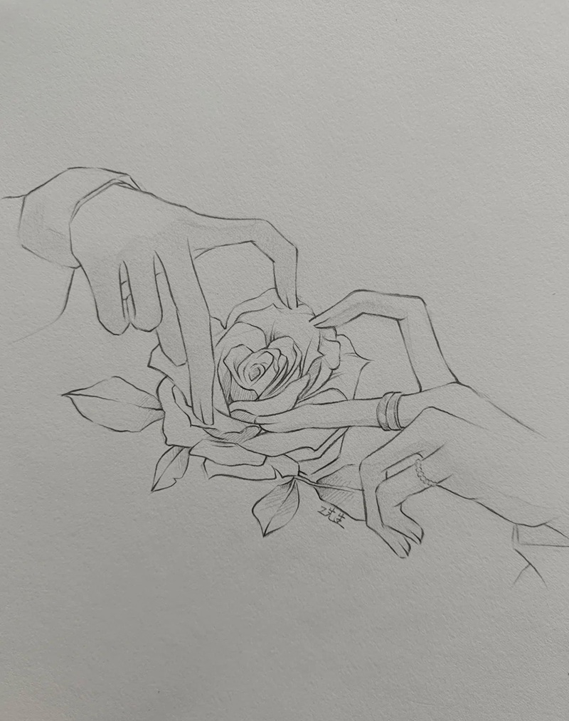 vẽ hoa hồng đơn giản 32