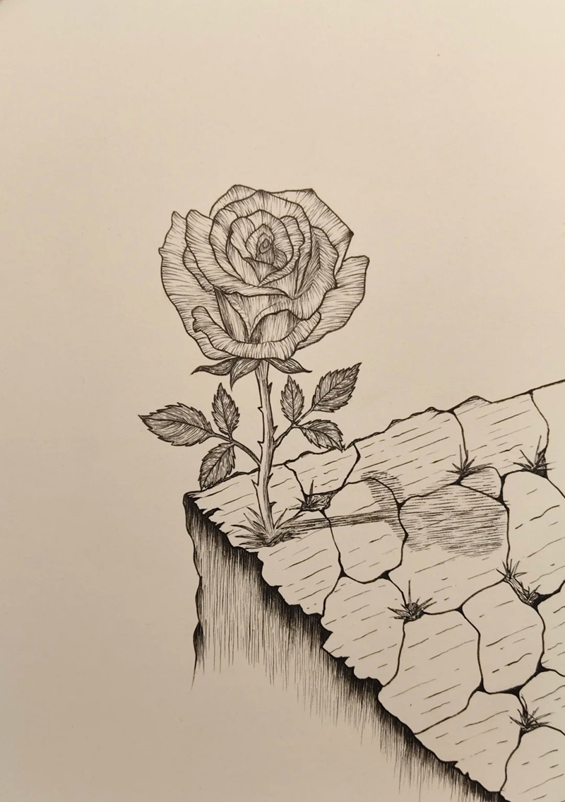 vẽ hoa hồng đơn giản 37