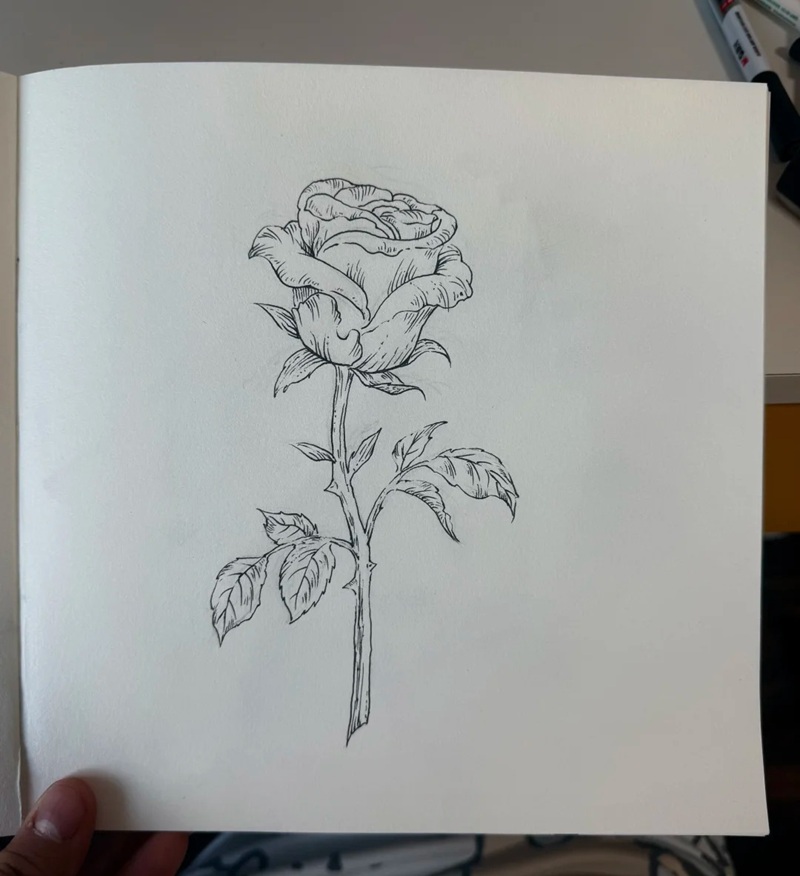 vẽ hoa hồng đơn giản 4