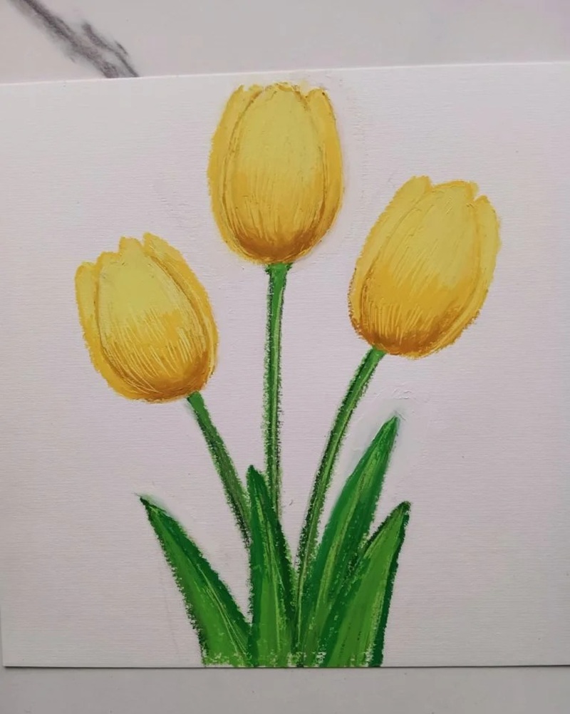 vẽ hoa tulip đơn giản​ 23