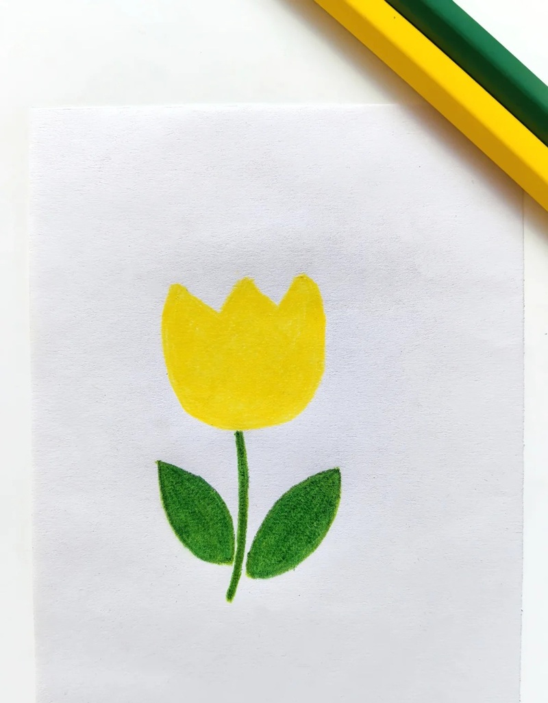 vẽ hoa tulip đơn giản​ 31