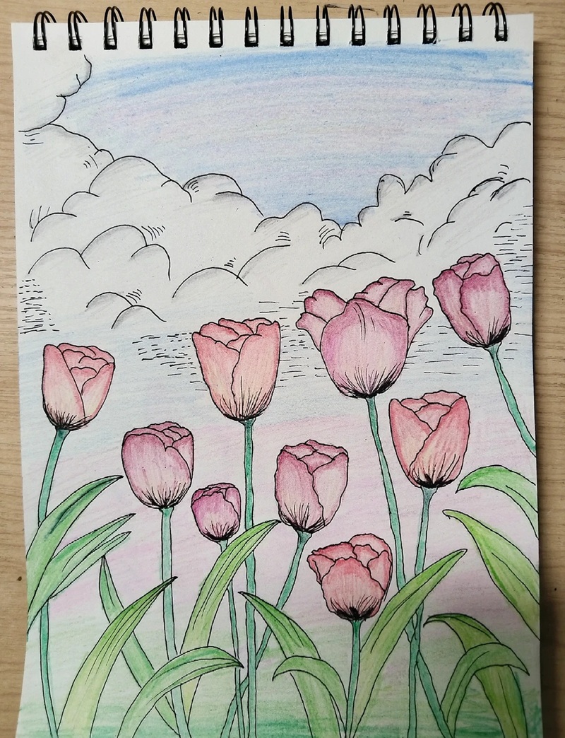 vẽ hoa tulip đơn giản​ 32