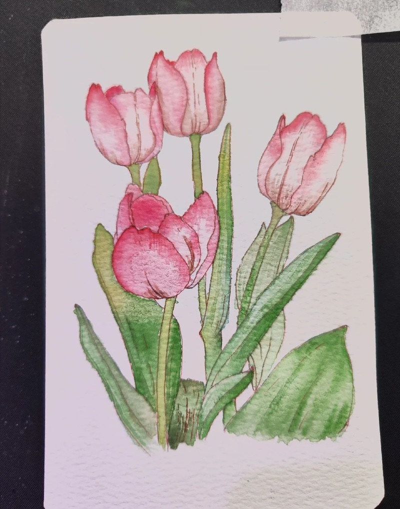 vẽ hoa tulip đơn giản​ 37