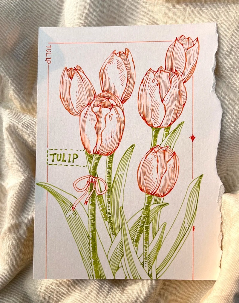 vẽ hoa tulip đơn giản​ 39