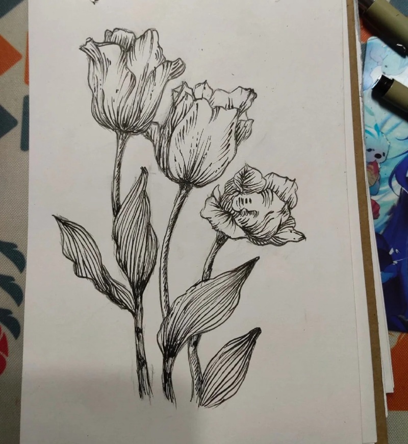 vẽ hoa tulip đơn giản​ 40