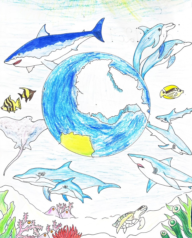 vẽ tranh bảo vệ môi trường bằng giấy a4 13